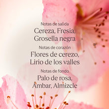 V4H206A9050C818A88AFFF833B27CE6839CR7407083P4